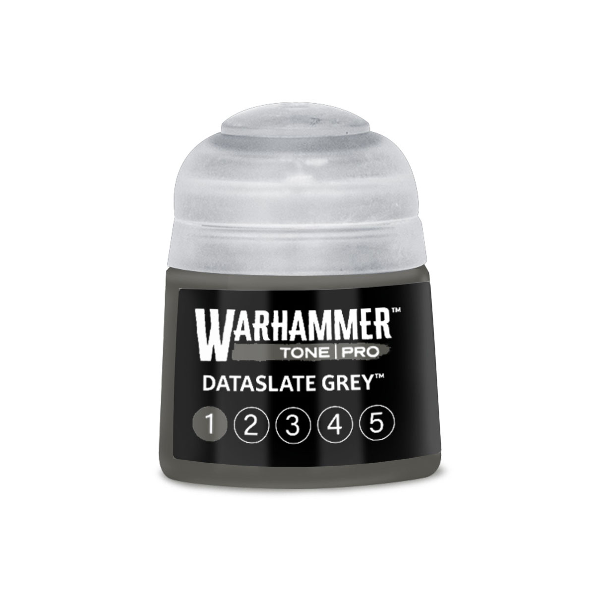 Dataslate Grey 1 12ML